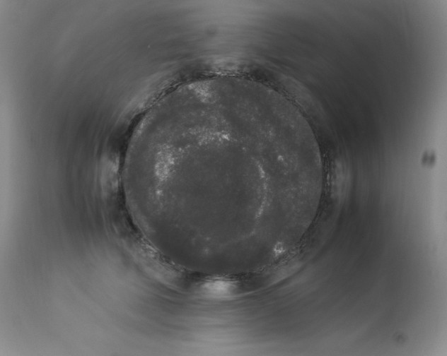 X0000112850610200909111447