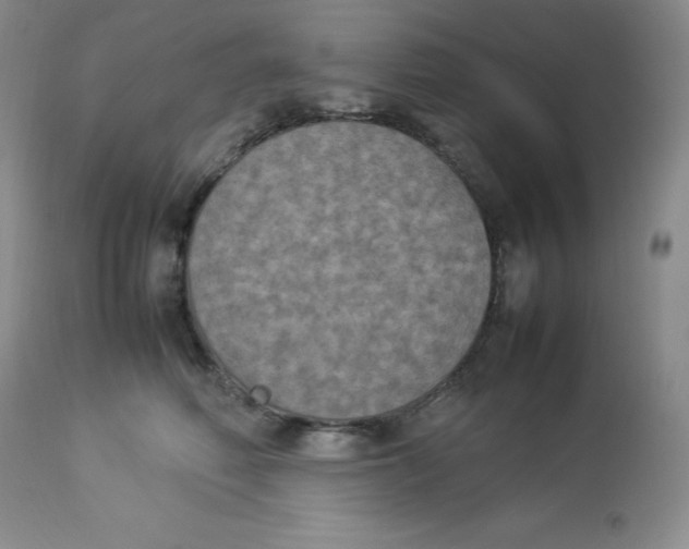 X0000112850614200909111447