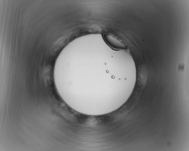 X0000112850616200909111447