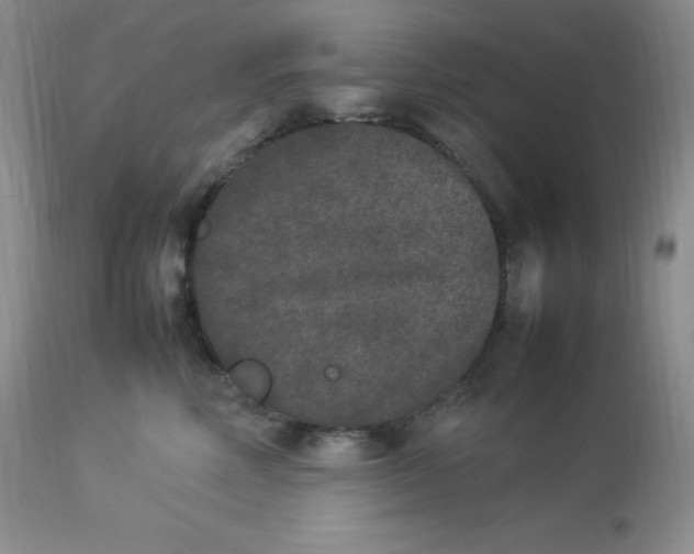 X0000112850618200909111447