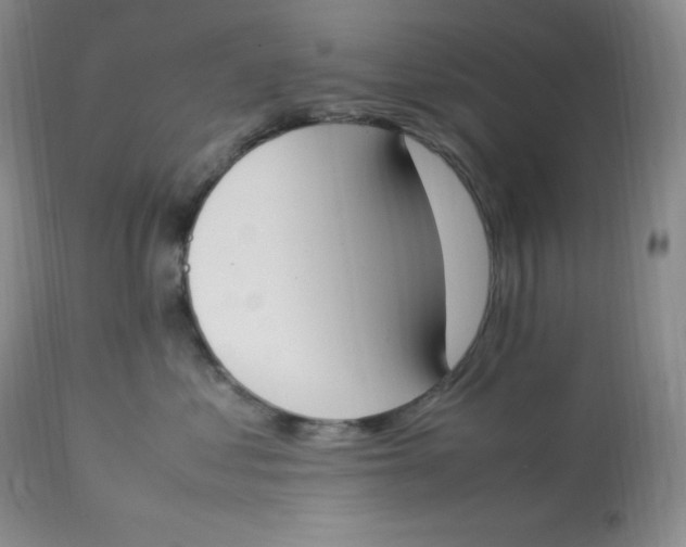 X0000112850621200909111447