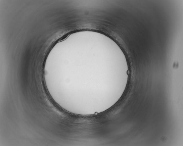 X0000112850625200909111446