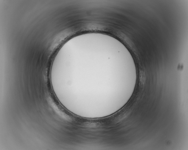 X0000112850629200909111446