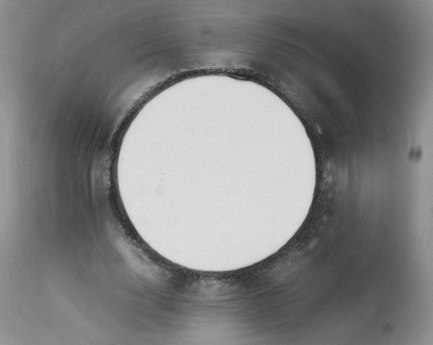 X0000112850632200909111446