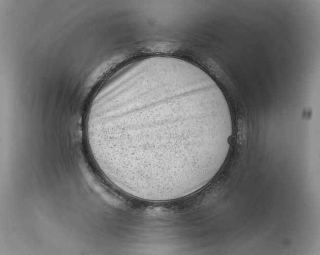 X0000112850634200909111446