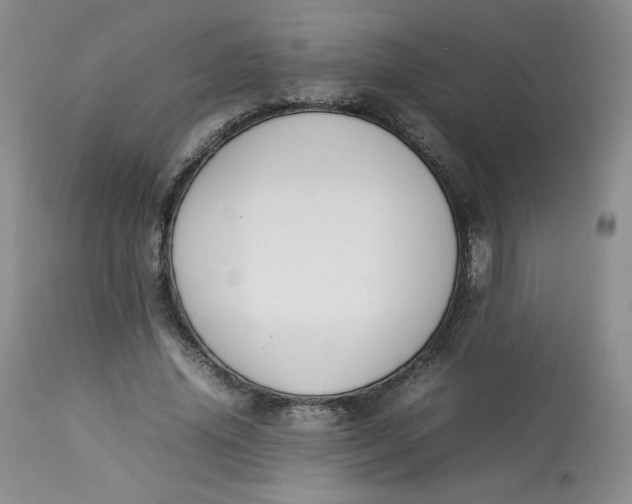 X0000112850636200909111446