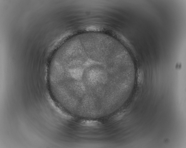 X0000112850637200909111446