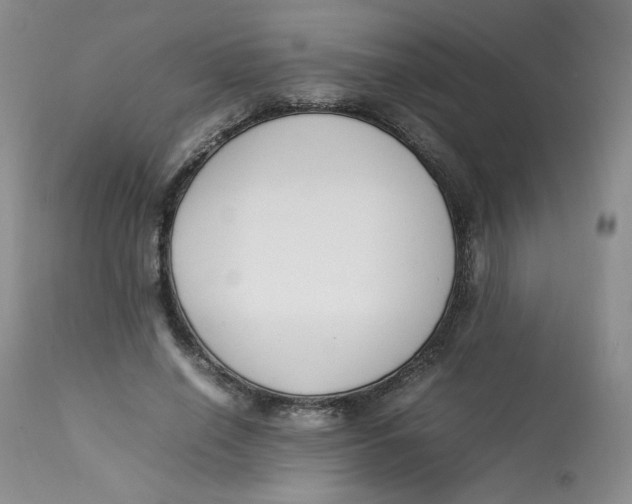 X0000112850638200909111446