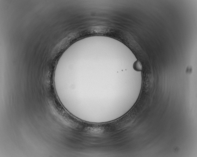 X0000112850639200909111446