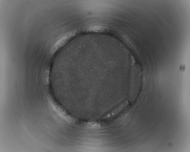 X0000112850640200909111446