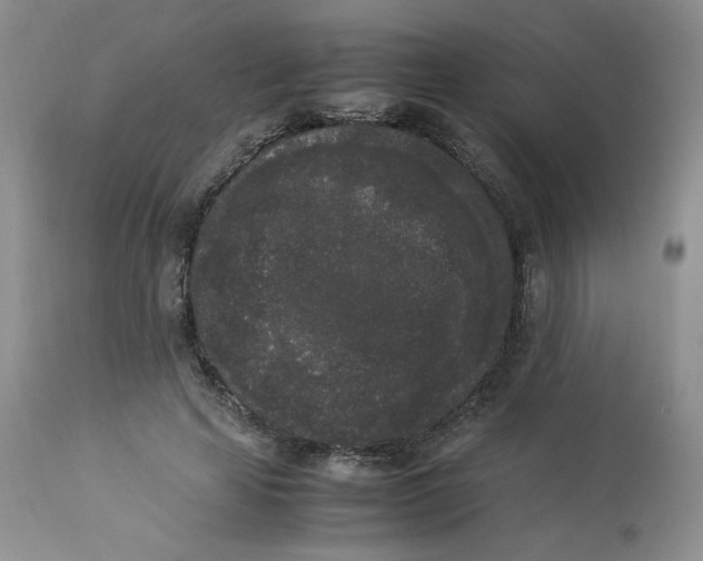 X0000112850641200909111447