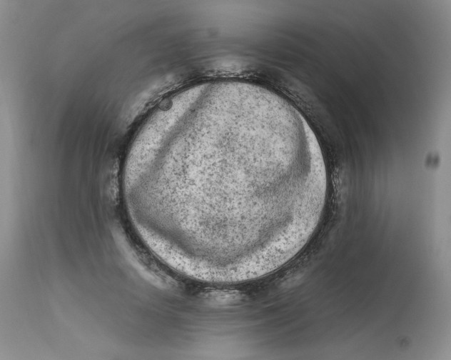 X0000112850642200909111447