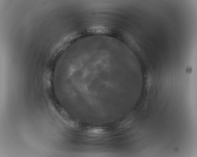 X0000112850643200909111447