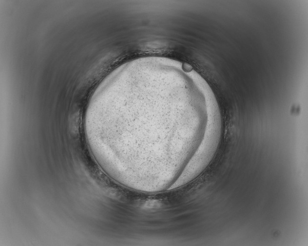 X0000112850647200909111447