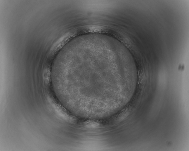 X0000112850648200909111447