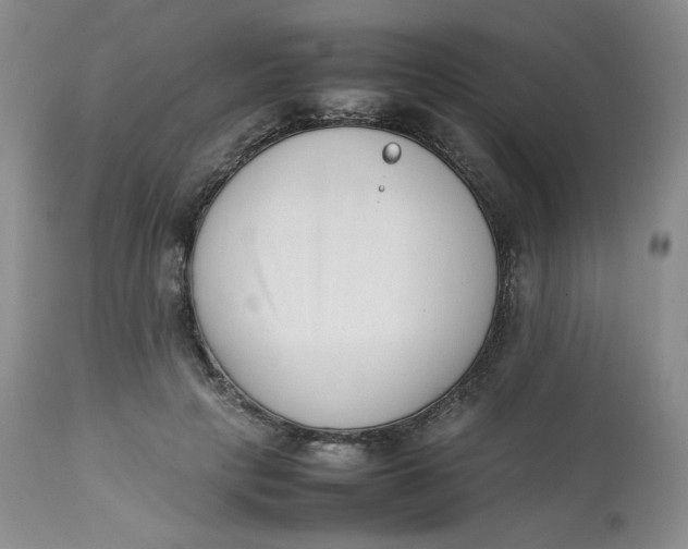 X0000112850649200909111447