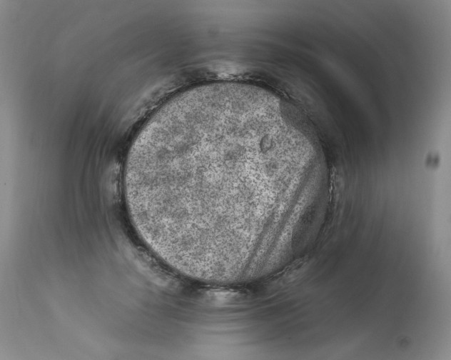 X0000112850650200909111447