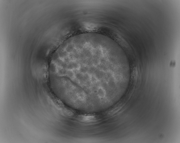 X0000112850651200909111447