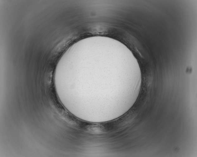 X0000112850652200909111447