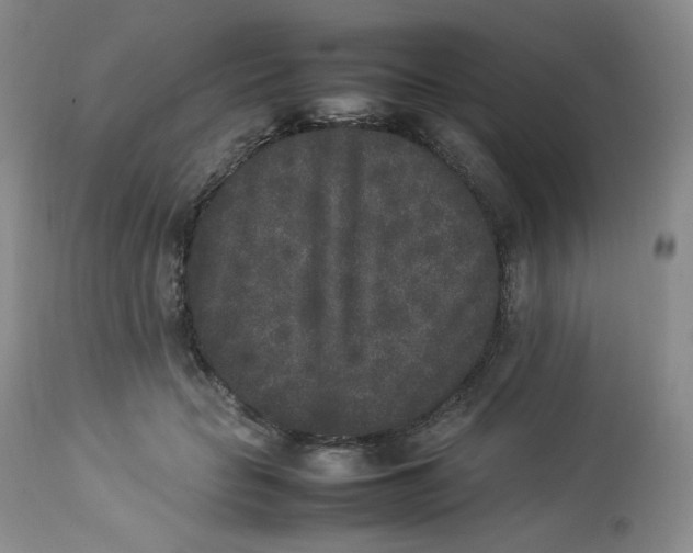 X0000112850653200909111447