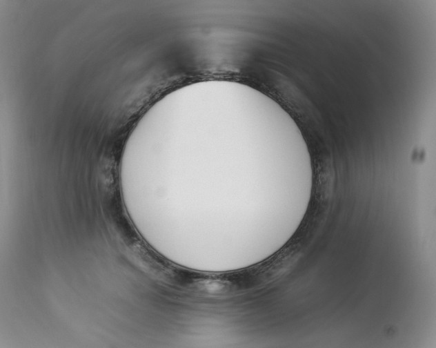 X0000112850654200909111447