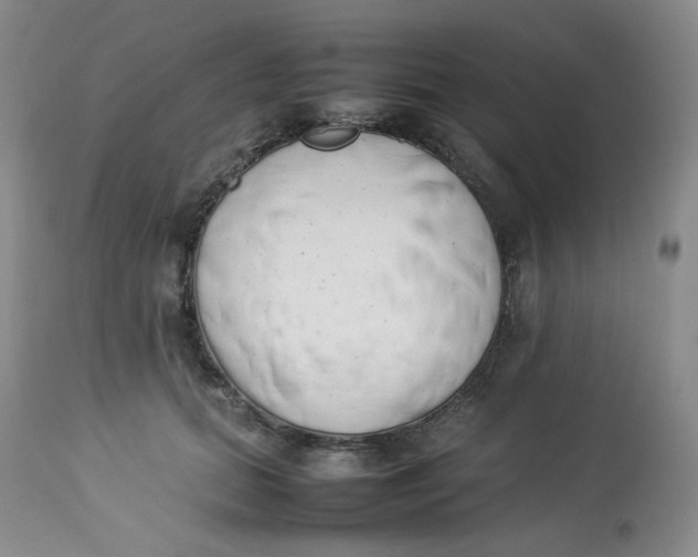 X0000112850655200909111447