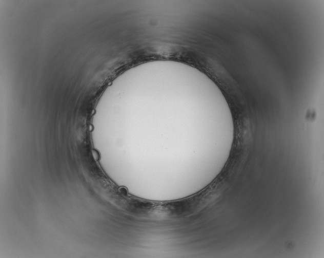 X0000112850656200909111447