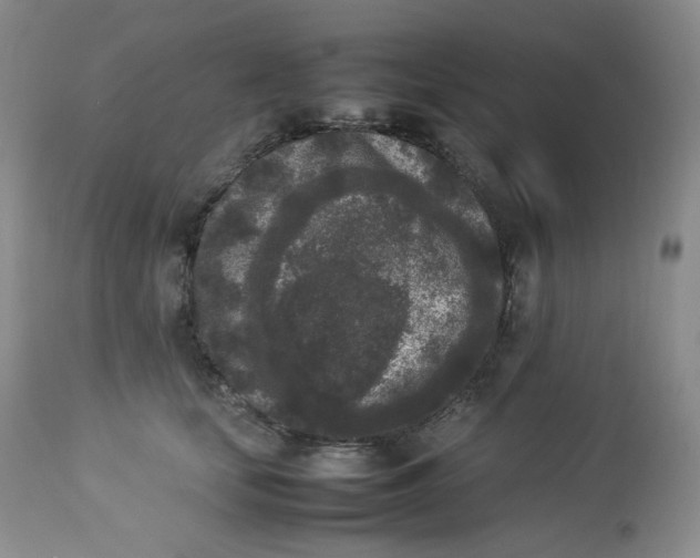 X0000112850659200909111447