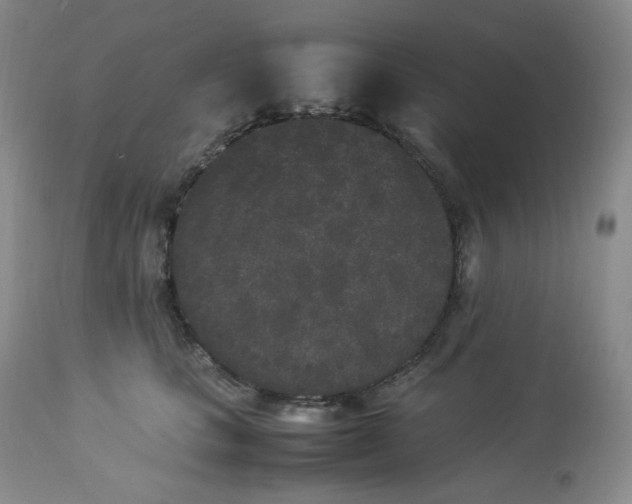 X0000112850661200909111447