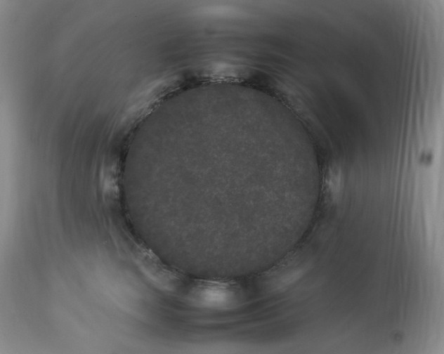 X0000112850663200909111447