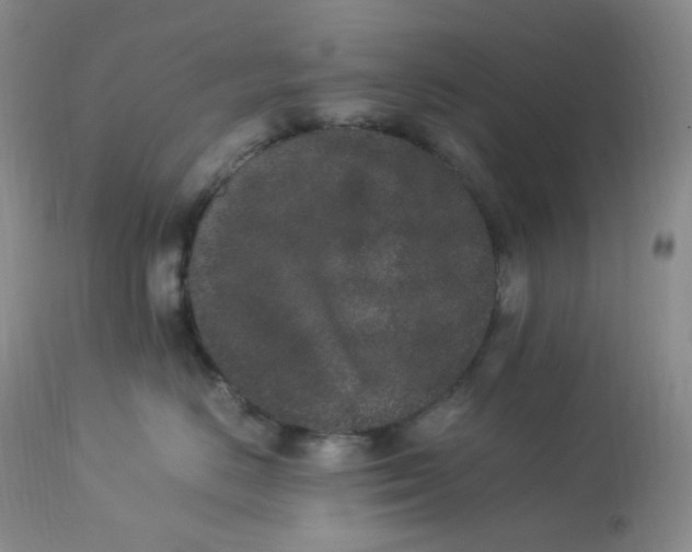 X0000112850670200909111447