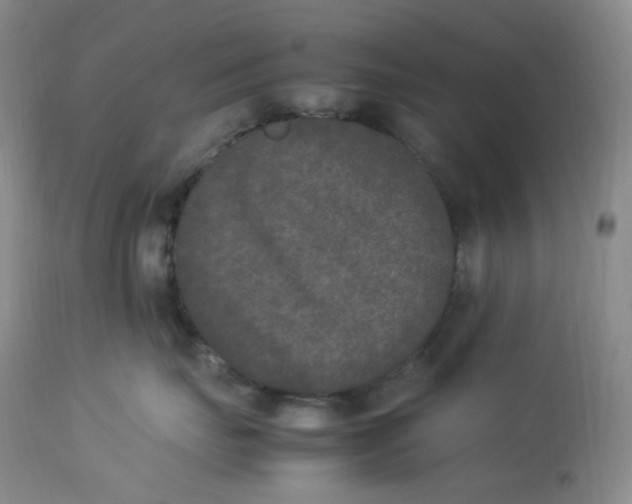 X0000112850671200909111447