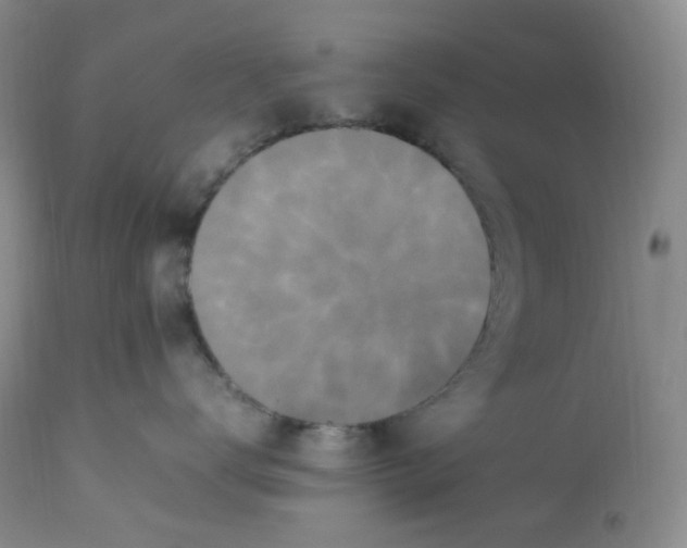 X0000112850672200909111447