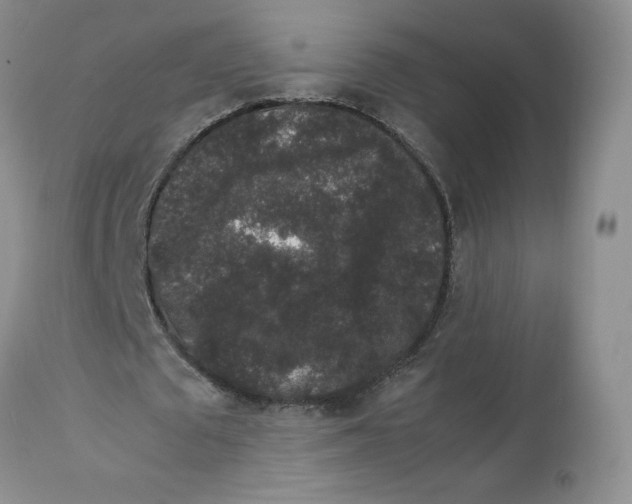 X0000112850673200909111446