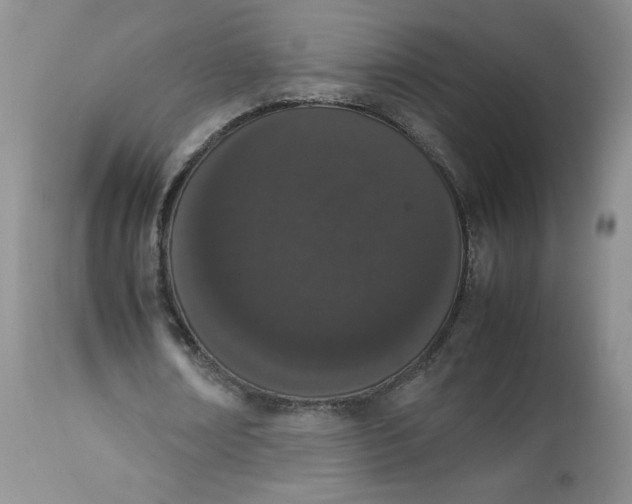 X0000112850674200909111446