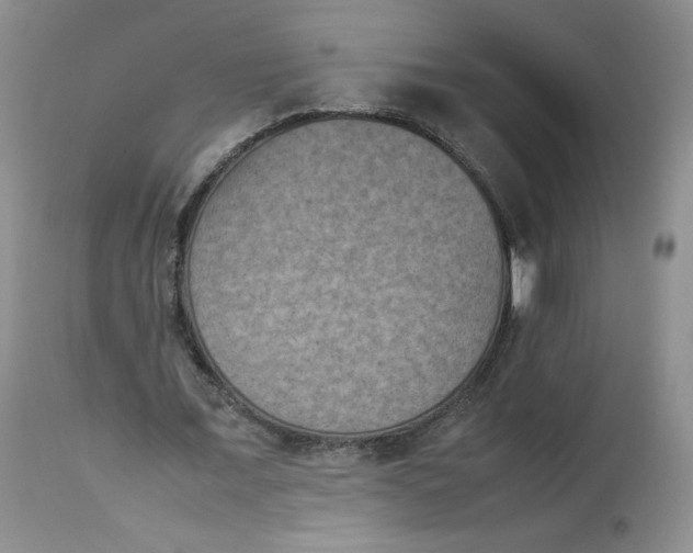 X0000112850675200909111446