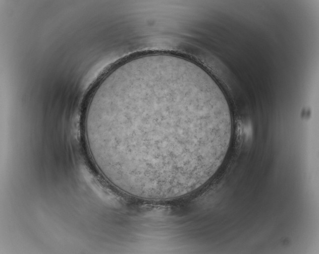 X0000112850676200909111446