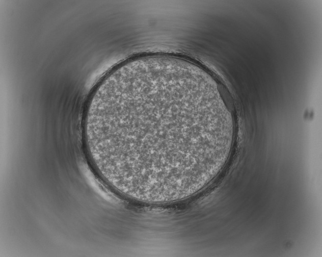 X0000112850677200909111446