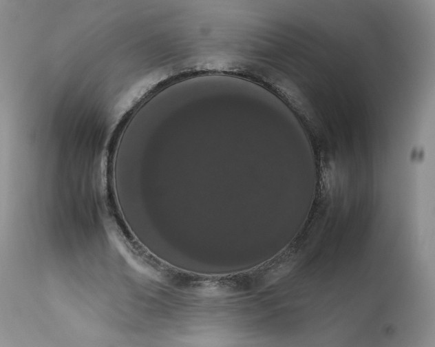 X0000112850678200909111446