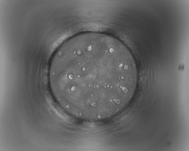 X0000112850679200909111446