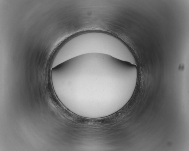 X0000112850680200909111446