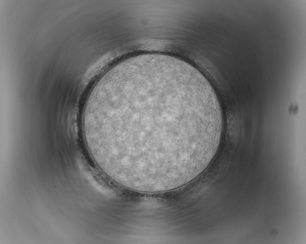 X0000112850682200909111446