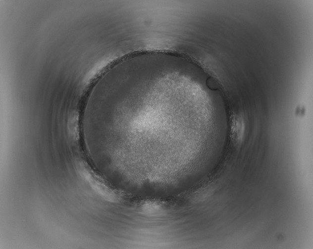 X0000112850684200909111446