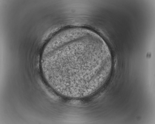 X0000112850685200909111446