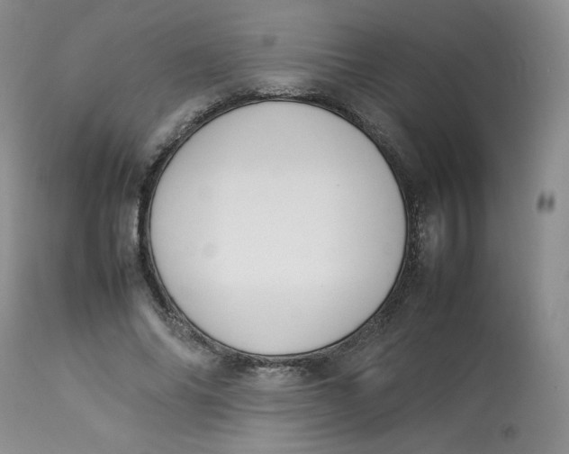 X0000112850686200909111446