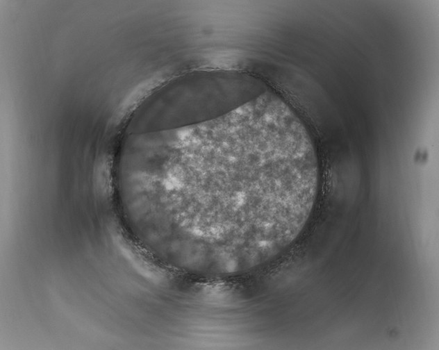 X0000112850688200909111446