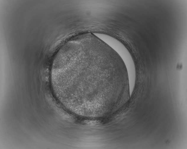 X0000112850689200909111446