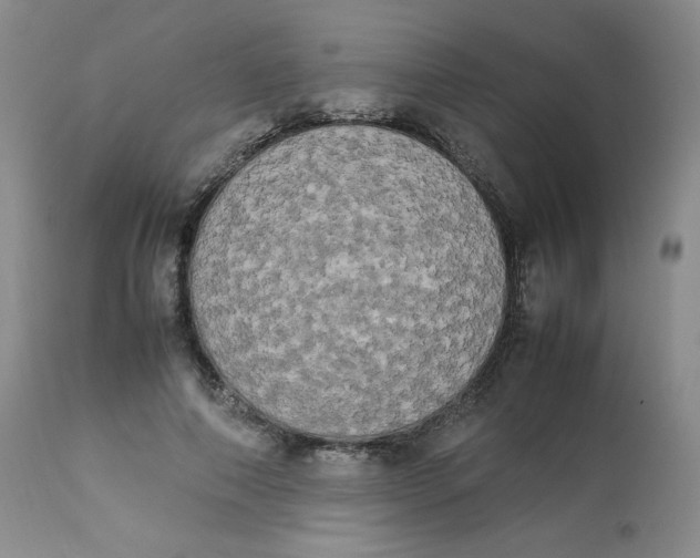 X0000112850690200909111446