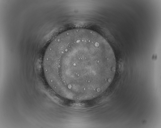 X0000112850691200909111446