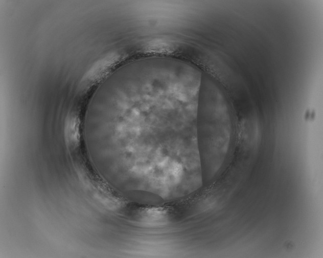 X0000112850692200909111446